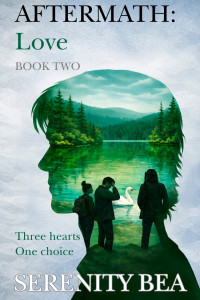 Aftermath: Love Book Cover