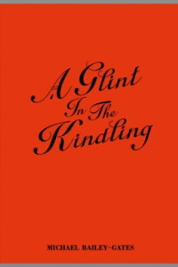 Cover of A Glint In The Kindling