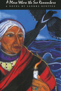Cover of A Place Where the Sea Remembers