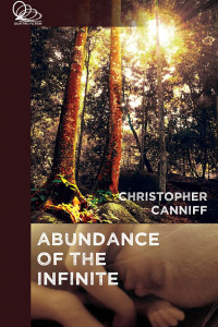Cover of Abundance of the Infinite