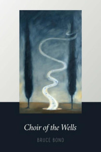 Cover of Choir of the Wells