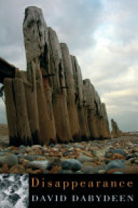 Cover of Disappearance