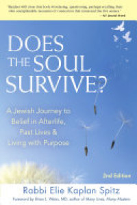 Cover of Does the Soul Survive? 2nd Edition