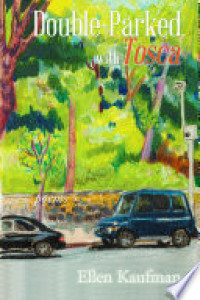 Cover of Double-Parked, with Tosca