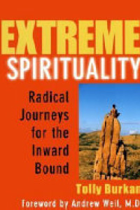 Cover of Extreme Spirituality