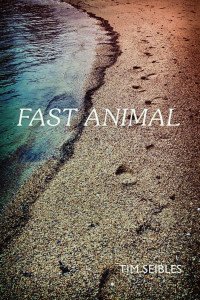 Cover of Fast Animal