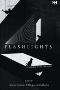 Cover of Flashlights