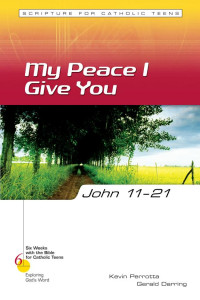 Cover of John 11-21