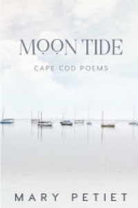 Cover of Moon Tide