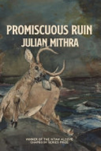Cover of Promiscuous Ruin