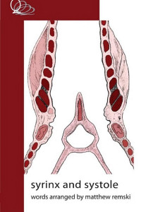 Cover of Syrinx and Systole