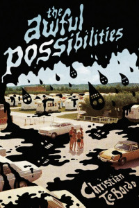 Cover of The Awful Possibilities