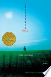 Cover of The Borrowed World (Able Muse Book Award for Poetry)