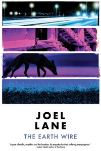 Cover of The Earth Wire