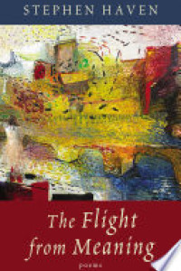 Cover of The Flight from Meaning