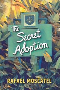 Cover of The Secret Adoption
