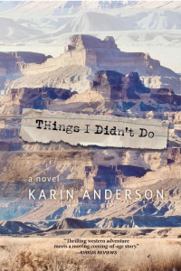 Cover of Things I Didn't Do