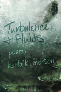 Cover of Turbulence & Fluids