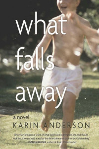 Cover of What Falls Away