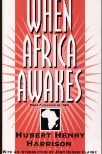 Cover of When Africa Awakes