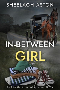 Pile of casual girls cloths and trainers in foreground with horse and buggy on road in the background.