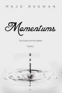 Cover of Momentums: The guide and the seeker