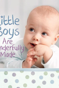 Cover of Little Boys Are Wonderfully Made