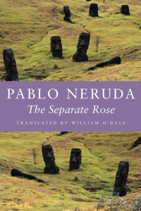 Cover of Rosa Separada