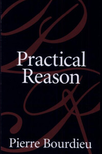 Cover of Practical Reason: On the Theory of Action