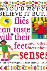 Cover of Flies Can