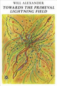Cover of Towards the Primeval Lightning Field