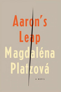 Cover of Aaron's Leap