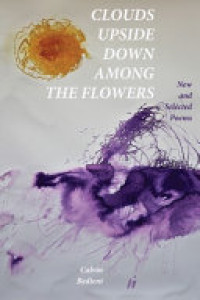 Cover of Clouds Upside Down Among the Flowers: