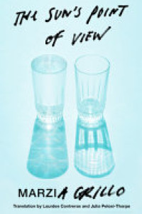 Cover of The Sun's Point of View