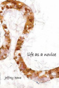 Cover of Life as a Novice
