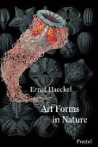 Cover of Art Forms in Nature