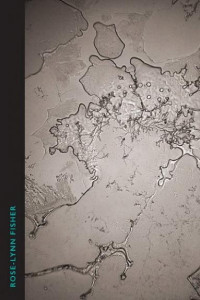 Cover of The Topography of Tears