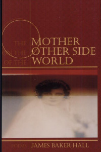 Cover of The Mother on the Other Side of the World: Poems