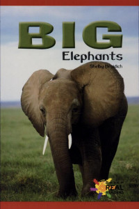 Cover of Big Elephants