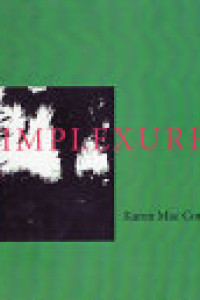 Cover of Implexures