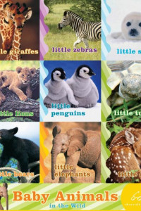 Cover of Baby Animals in the Wild