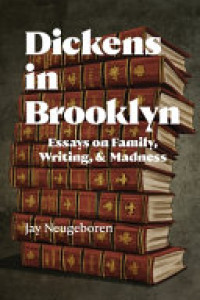 Cover of Dickens in Brooklyn