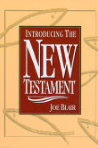 Cover of Introducing the New Testament