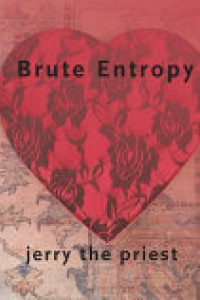 Cover of Brute Entropy