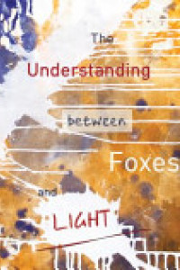 Cover of The Understanding Between Foxes and Light