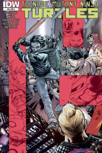 Cover of Teenage Mutant Ninja Turtles #45