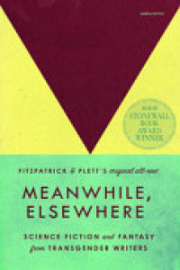 Cover of Meanwhile, Elsewhere: Science Fiction and Fantasy from Transgender Writers