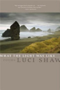 Cover of What the Light Was Like