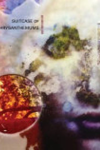 Cover of Suitcase of Chrysanthemums