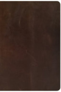 Cover of CSB She Reads Truth Bible, Brown Genuine Leather